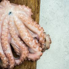 Kaboria Seafood